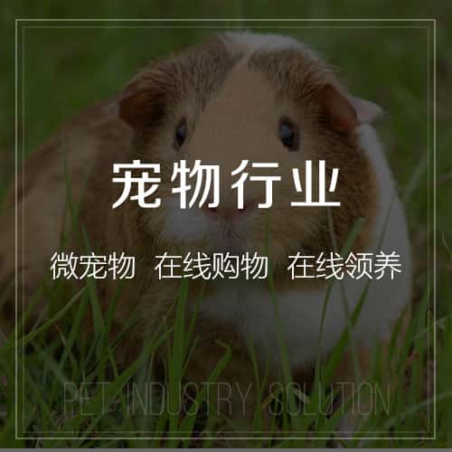 威海宠物