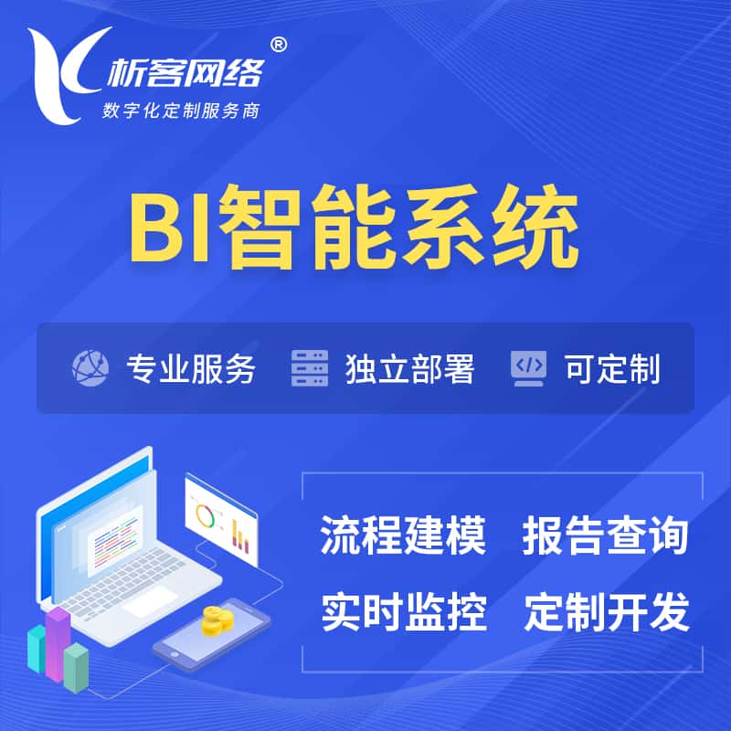 威海BI智能系统 | BI数据可视化
